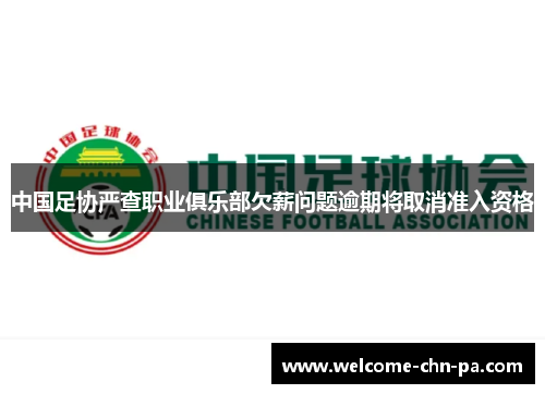 中国足协严查职业俱乐部欠薪问题逾期将取消准入资格