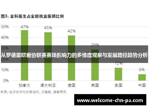 从罗德里欧看协联赛赛场影响力的多维度观察与发展路径趋势分析