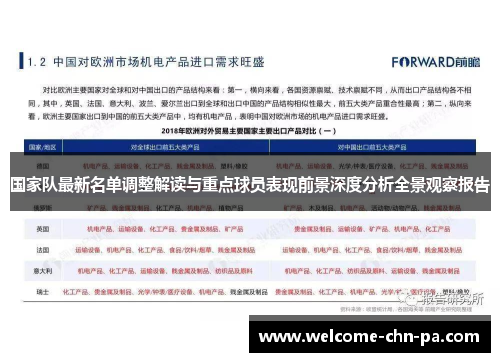 国家队最新名单调整解读与重点球员表现前景深度分析全景观察报告